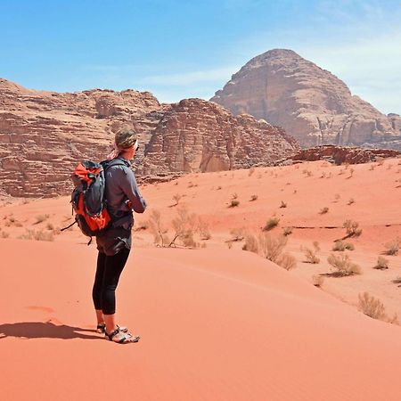 Wadi Rum Fig Tree Camp Eksteriør billede