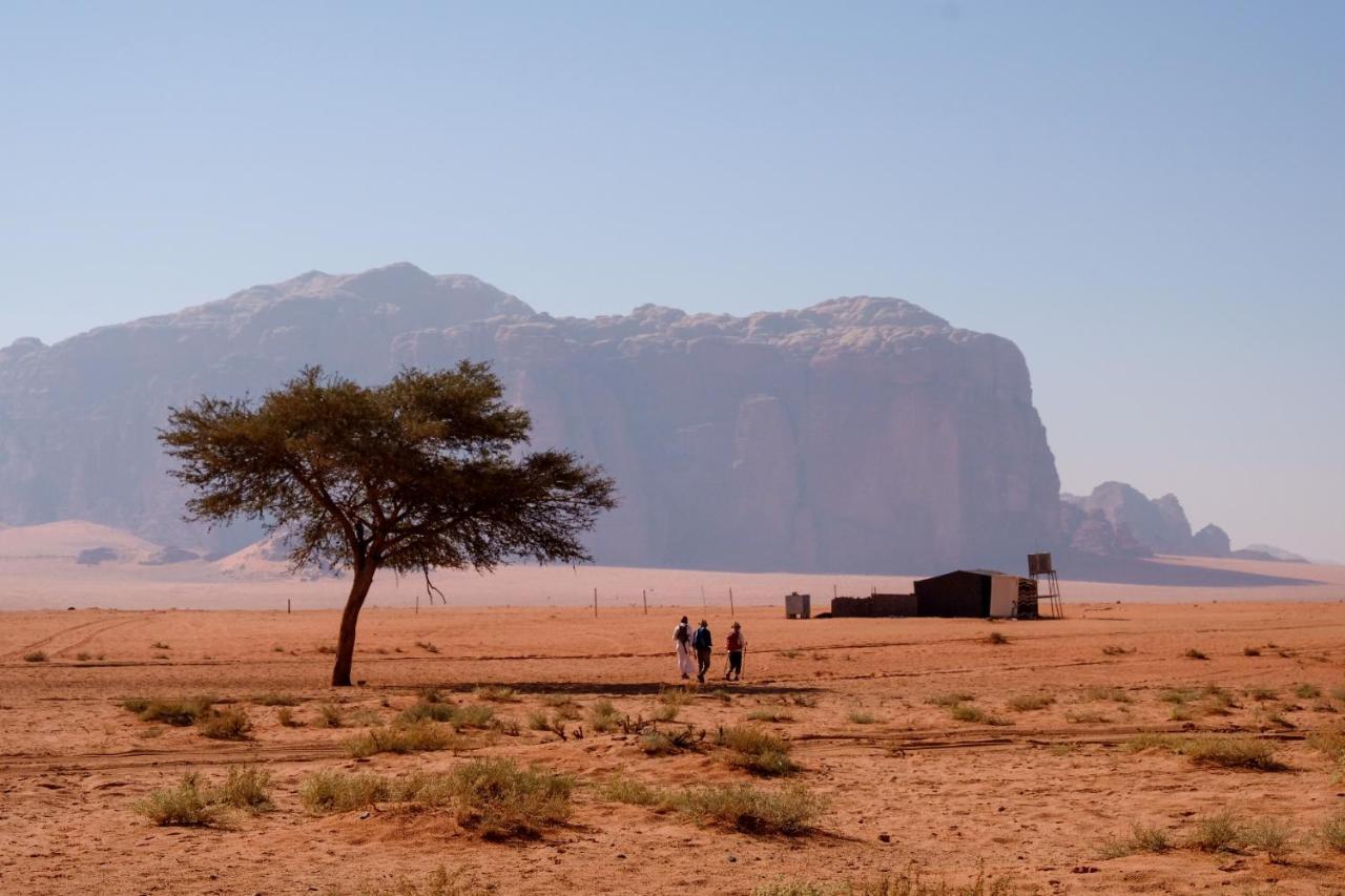 Wadi Rum Fig Tree Camp Eksteriør billede